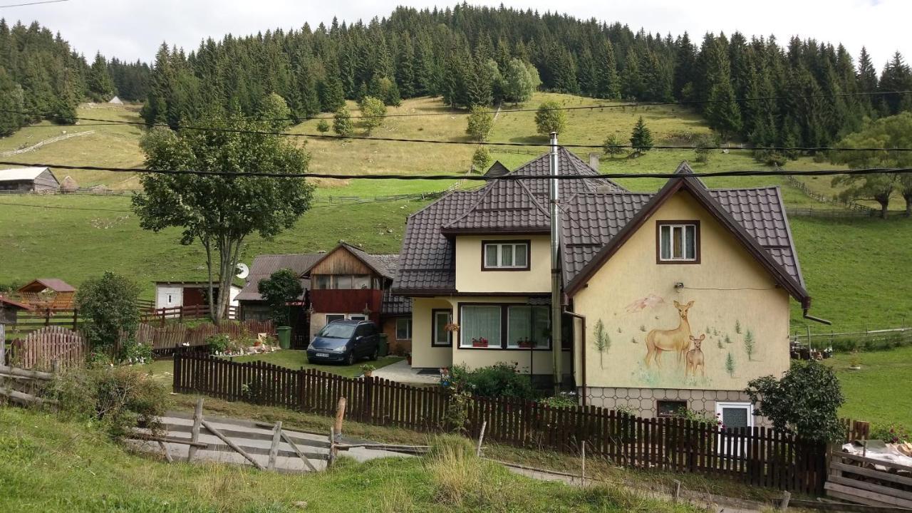 فونداتا Casa Marcela المظهر الخارجي الصورة