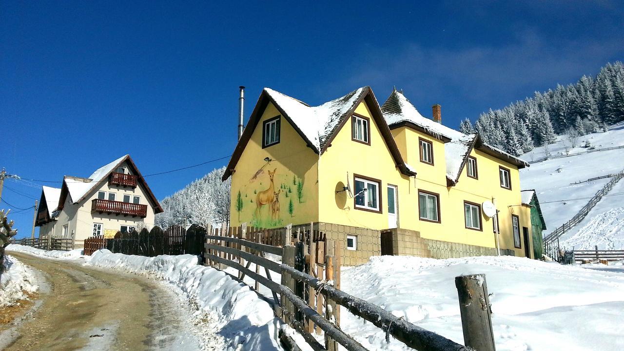 فونداتا Casa Marcela المظهر الخارجي الصورة